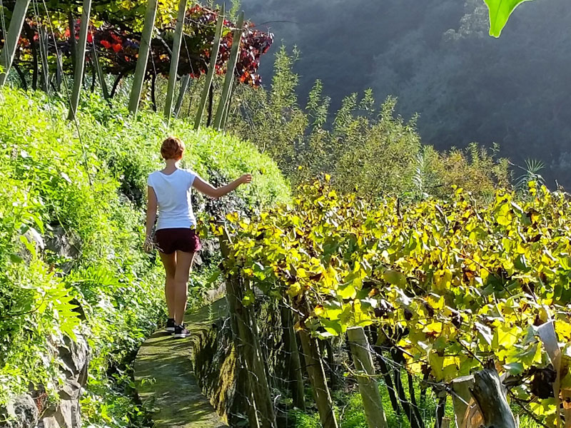 Girl in the vineyards in Madeira