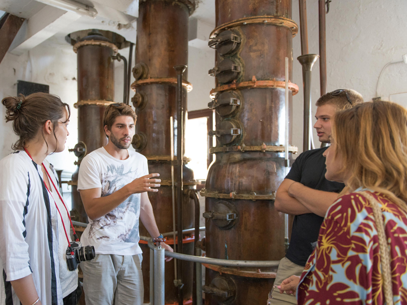 Explaining Rum process in Madeira