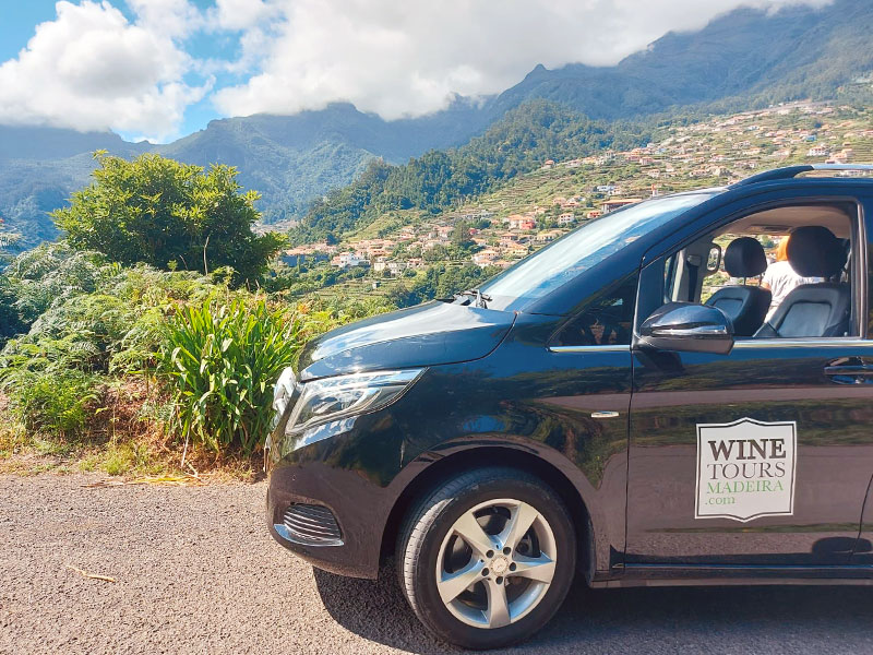 Mini Van in Madeira